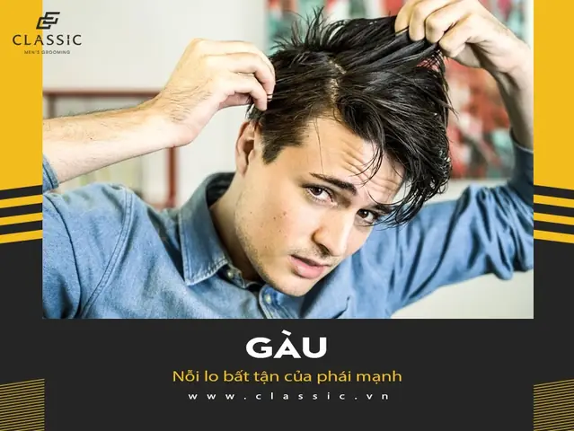 Dau Goi Tot Nhat The Gioi