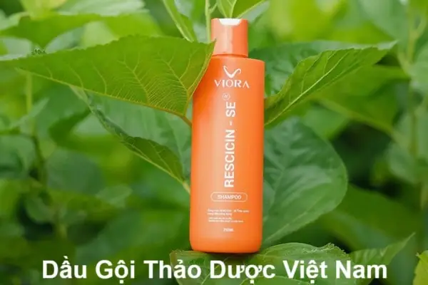 Dầu Gội Tốt Nhất Việt Nam
