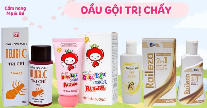 Dầu Gội Trị Chấy Kobee Mua Ở Đâu
