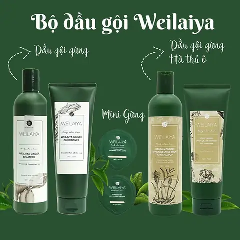 Dầu Gội Weilaiya Giá Bao Nhiêu