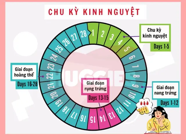 Dấu Hiệu Có Thai Với Người Kinh Nguyệt Không Đều Dấu Hiệu Có Thai Với Người Kinh Nguyệt Không Đều