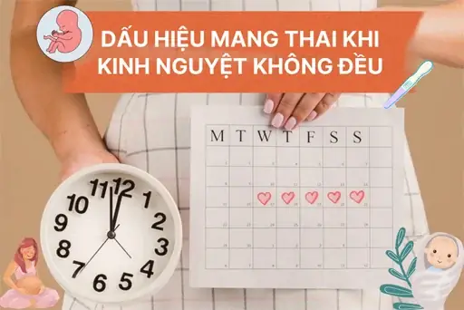 Dấu Hiệu Có Thai Với Người Kinh Nguyệt Không Đều Dấu Hiệu Có Thai Với Người Kinh Nguyệt Không Đều