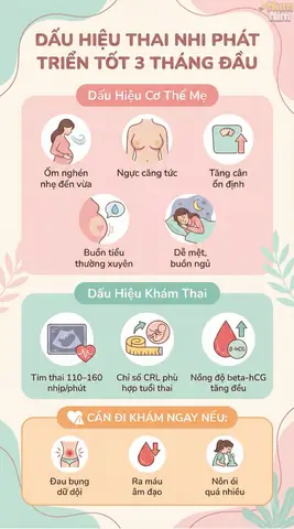 Dấu Hiệu Thai Nhi Khỏe Mạnh Trong 3 Tháng Đầu