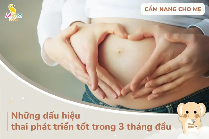 Dấu Hiệu Thai Phát Triển Tốt Trong 3 Tháng Đầu