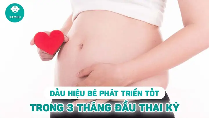 Dấu Hiệu Thai Phát Triển Tốt Trong 3 Tháng Đầu