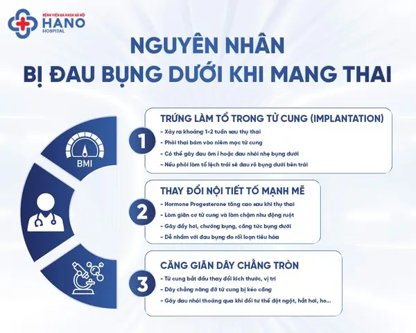 Đau Lưng Bên Trái Có Phải Dấu Hiệu Mang Thai