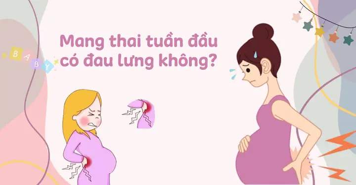 Đau Lưng Như Thế Nào Là Có Thai