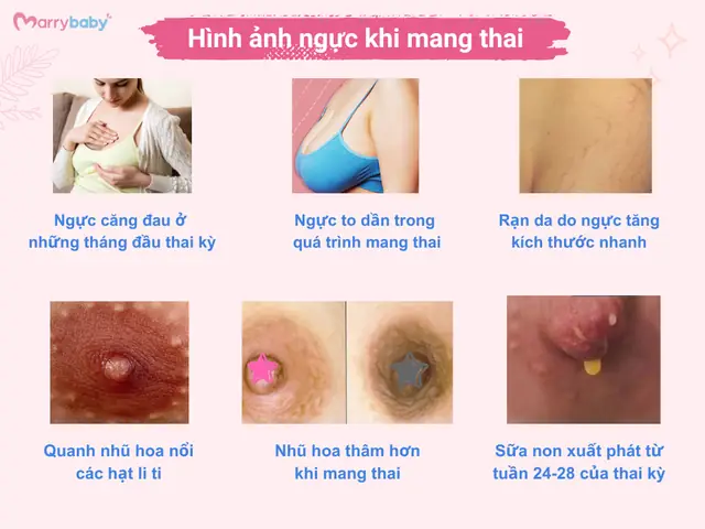 Dau Num Vu Co Phai Dau Hieu Mang Thai Dau Num Vu Co Phai Dau Hieu Mang Thai