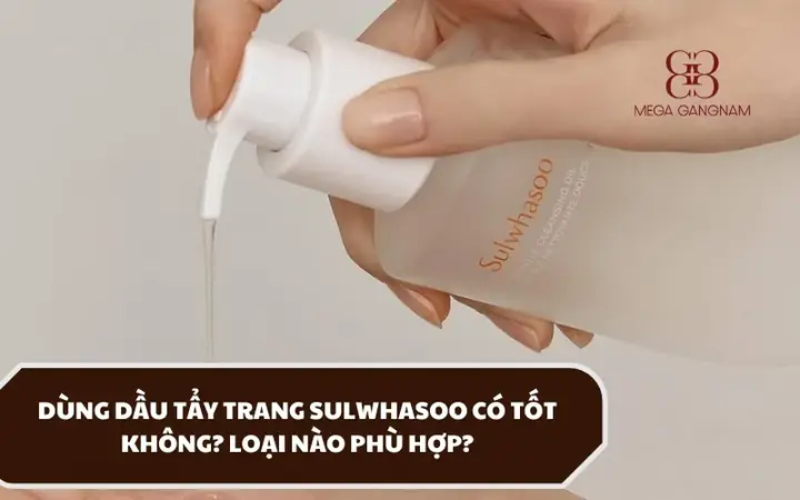 Dau Tay Trang Loai Nao Tot