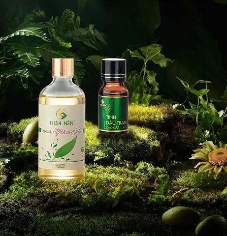 Dầu Tràm Chuẩn Có Màu Gì