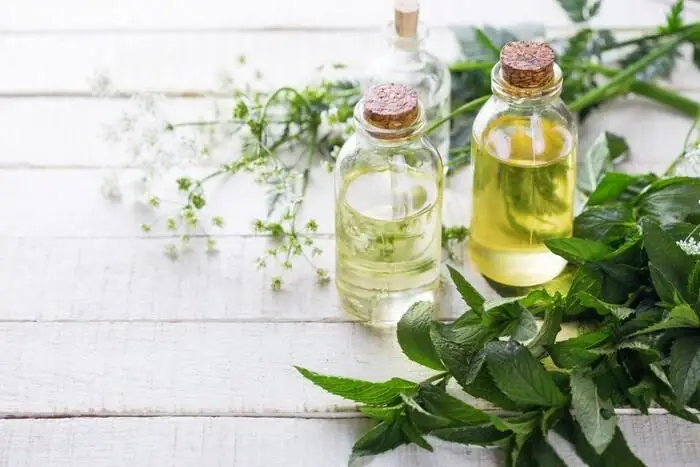 Dầu Tràm Chuẩn Có Màu Gì