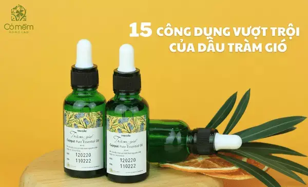 Dầu Tràm Dùng Để Làm Gì