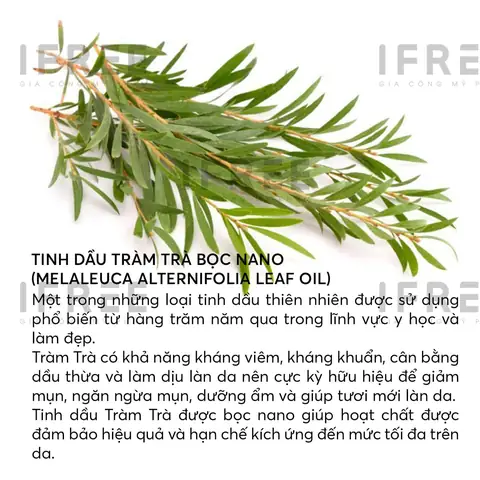Dầu Tràm Dùng Để Làm Gì