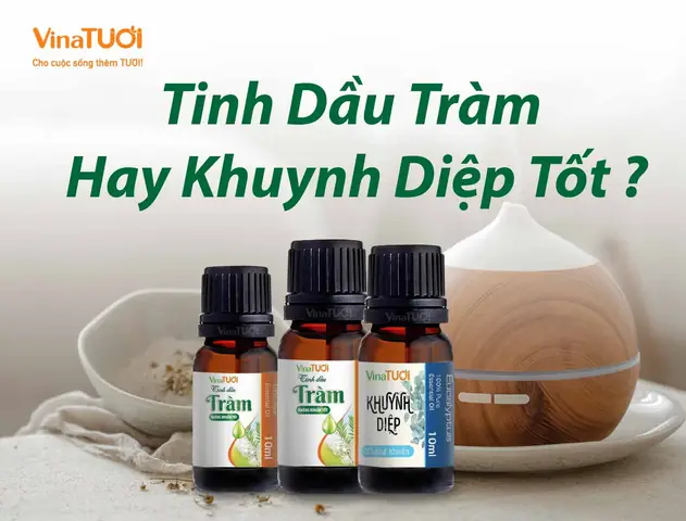 Dầu Tràm Hay Tinh Dầu Tràm Tốt Hơn