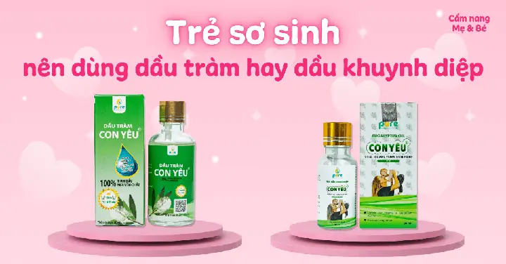 Dầu Tràm Hay Tinh Dầu Tràm Tốt Hơn
