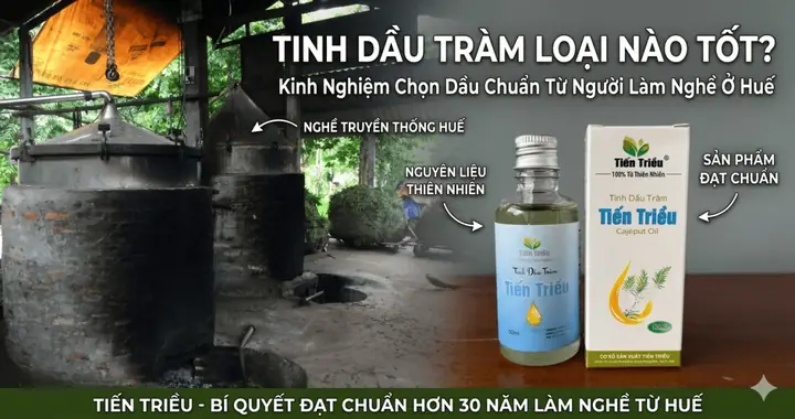 Dầu Tràm Hay Tinh Dầu Tràm Tốt Hơn