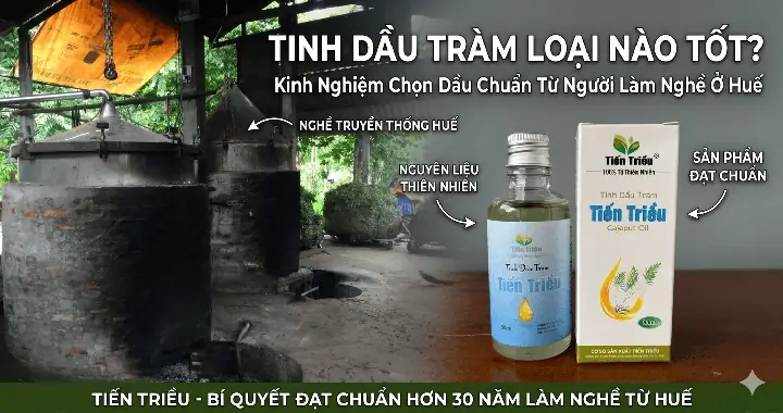 Dầu Tràm Hay Tinh Dầu Tràm Tốt Hơn