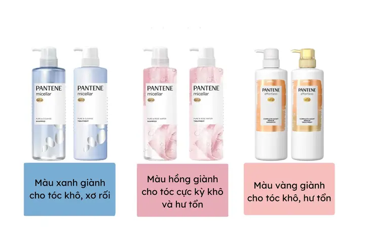 Dầu Xả Pantene Dành Cho Tóc Nhuộm