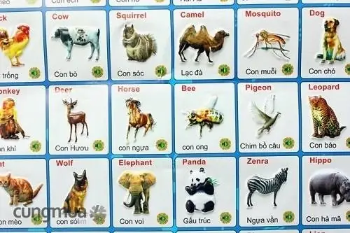 Dạy Bé Nhận Biết Con Vật