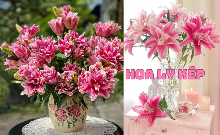 Đây Cách Cắm Hoa 20 11 Đây Cách Cắm Hoa 20 11