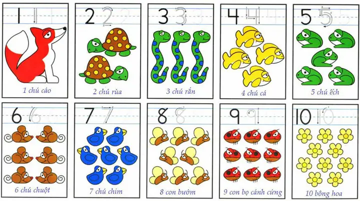 Dạy Số Cho Bé 4 Tuổi