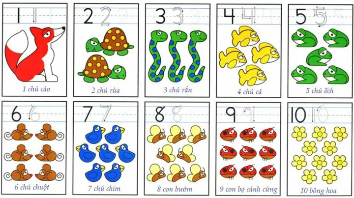 Dạy Số Cho Bé 5 Tuổi