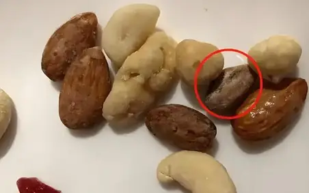 Dha Có Nhiều Trong Thực Phẩm Nào