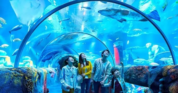 Địa Điểm Vui Chơi Cho Bé Hà Nội