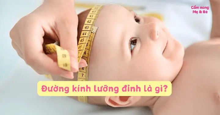 Dk Luong Dinh Cua Thai Nhi La Gi