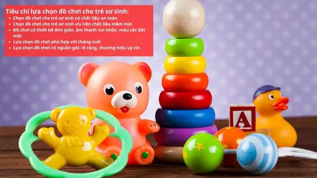Đồ Chơi Cho Bé 6 Tháng Tuổi Trở Lên