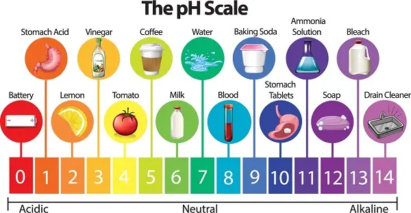 Độ Ph Của Nước Là Gì Độ Ph Của Nước Là Gì