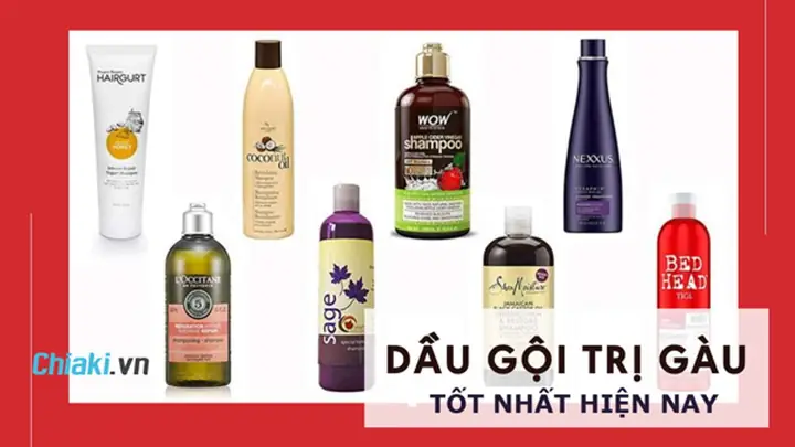 Dùng Dầu Gội Gì Để Trị Gàu
