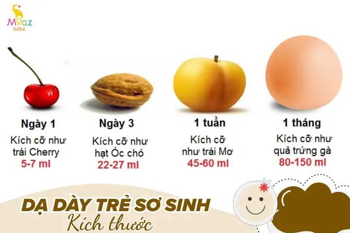 Dung Tich Da Day Tre So Sinh