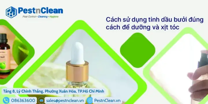 Dùng Tinh Dầu Bưởi Đúng Cách