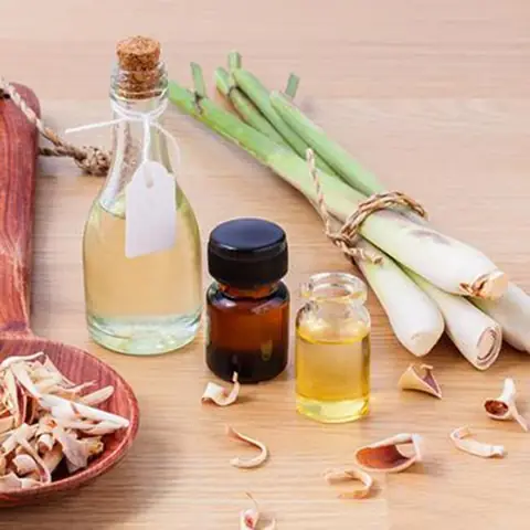 Đuổi Muỗi Bằng Cách Tự Nhiên Đuổi Muỗi Bằng Cách Tự Nhiên