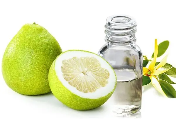 Dưỡng Tóc Bằng Tinh Dầu Bưởi Dưỡng Tóc Bằng Tinh Dầu Bưởi