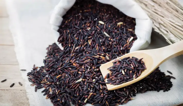 Gạo Nếp Cẩm Tiếng Nhật Là Gì