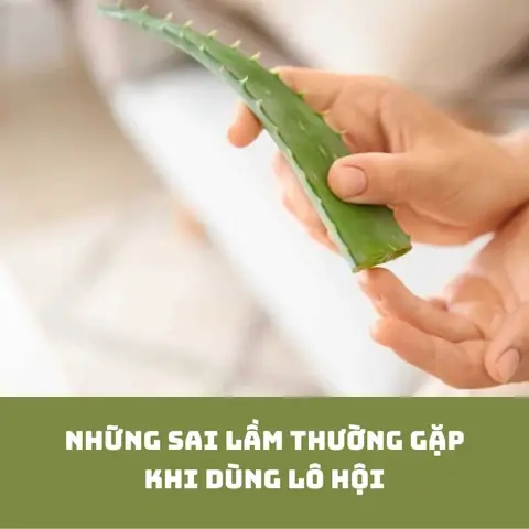 Gel Lô Hội Dùng Hàng Ngày Được Không