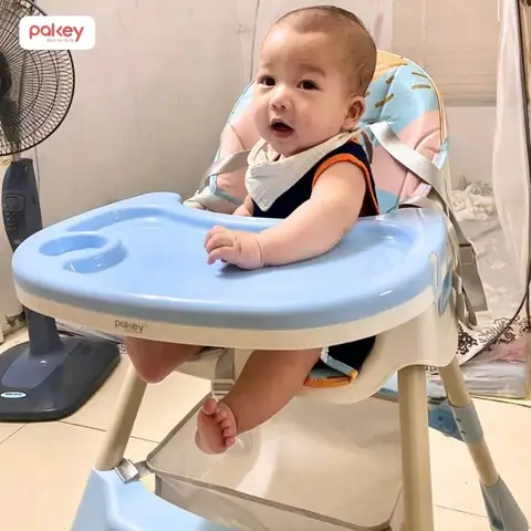 Ghế Ăn Dặm Cho Bé Giá Bao Nhiêu