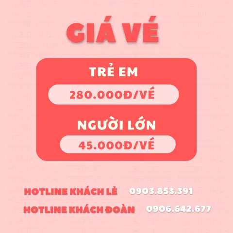 Giá Vé Vào Vietopia Quận 7 Giá Vé Vào Vietopia Quận 7
