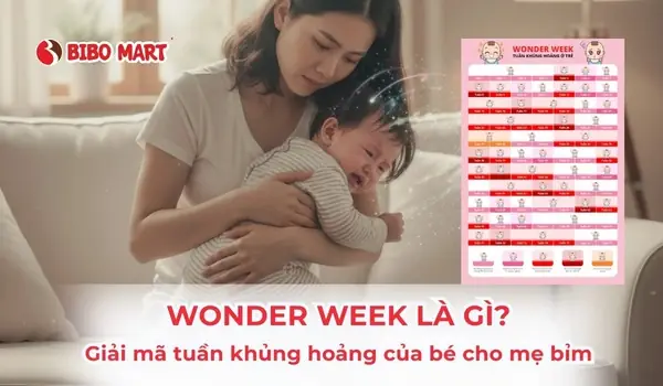 Giai Đoạn Wonder Week Của Bé