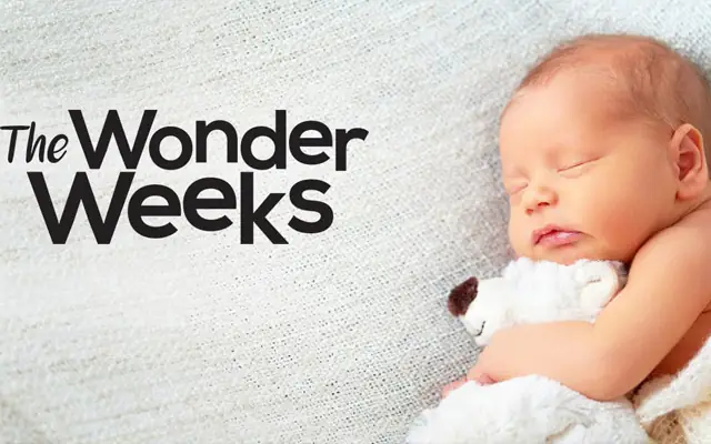 Giai Đoạn Wonder Week Của Bé