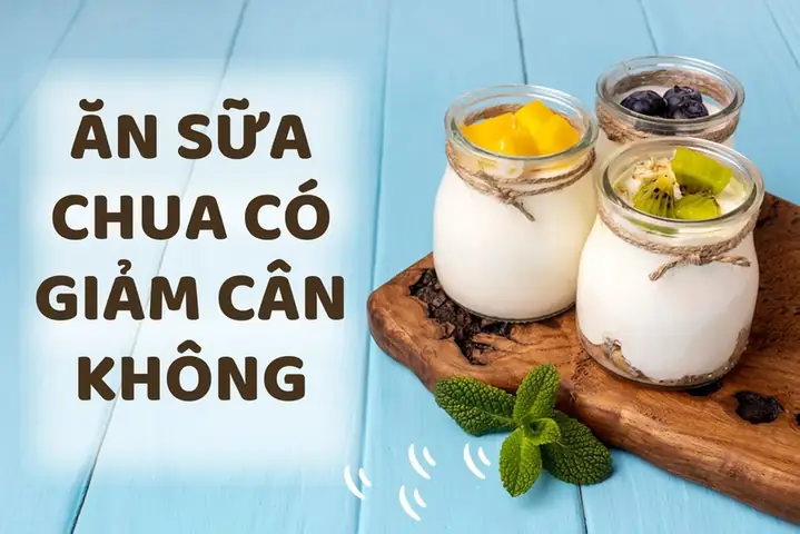 Giảm Cân Có Nên Ăn Sữa Chua Giảm Cân Có Nên Ăn Sữa Chua