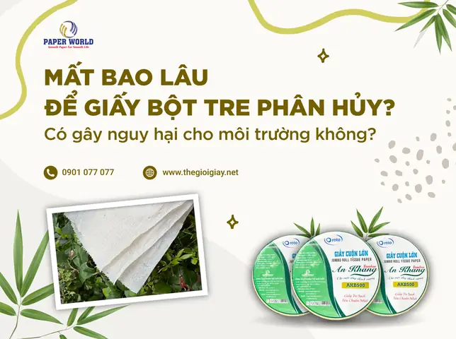 Giấy Vệ Sinh Có Phân Hủy Không