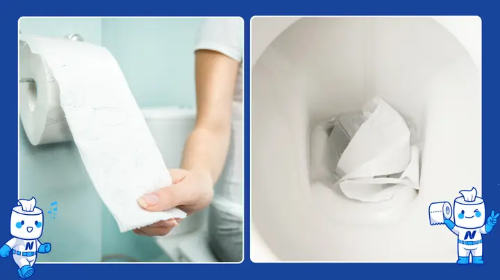 Giấy Vệ Sinh Có Phân Hủy Không
