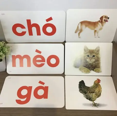 Glenn Doman Cho Trẻ 3 Tháng Tuổi