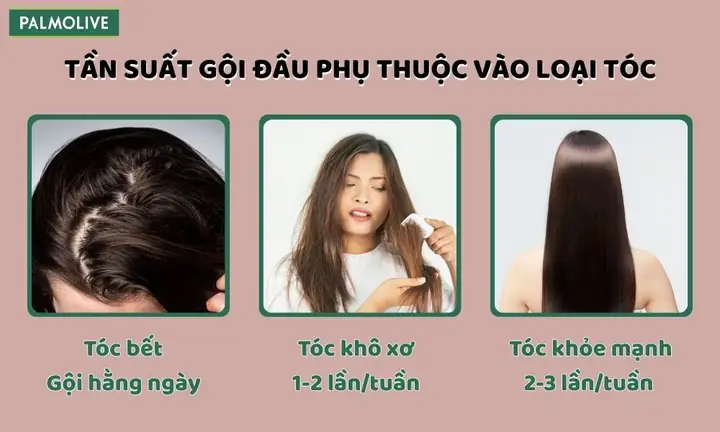 Gội Đầu Nhiều Lần Có Tốt Không
