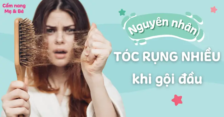 Gội Đầu Xong Tóc Rụng Nhiều