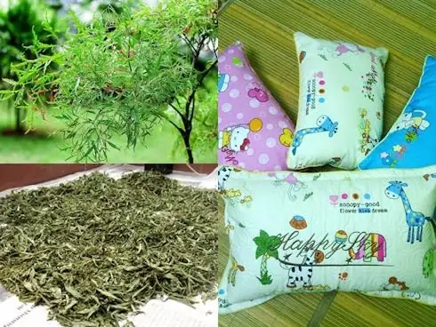 Gối Đinh Lăng Cho Trẻ Sơ Sinh