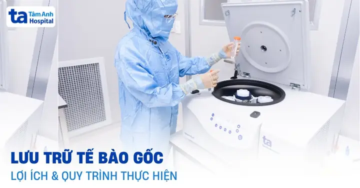 Gửi Tế Bào Gốc Để Làm Gì